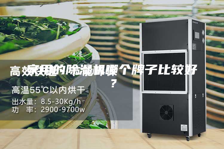 家用的除濕機哪個牌子比較好？