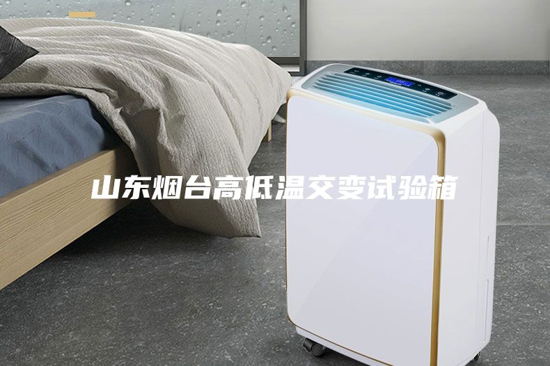 山東煙臺高低溫交變試驗箱