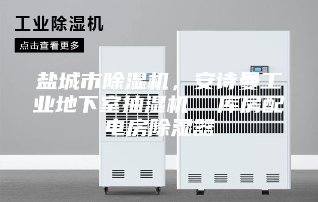 鹽城市除濕機，安詩曼工業地下室抽濕機  庫房配電房除濕器