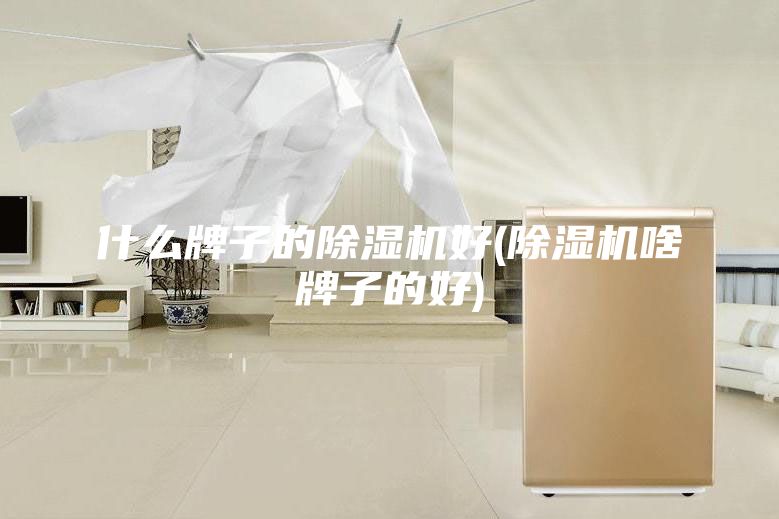 什么牌子的除濕機(jī)好(除濕機(jī)啥牌子的好)