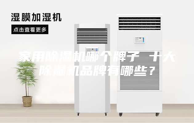 家用除濕機(jī)哪個(gè)牌子 十大除濕機(jī)品牌有哪些？