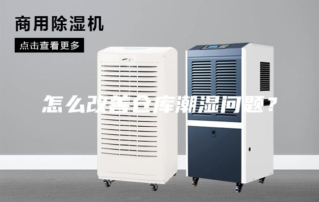 怎么改善倉庫潮濕問題？