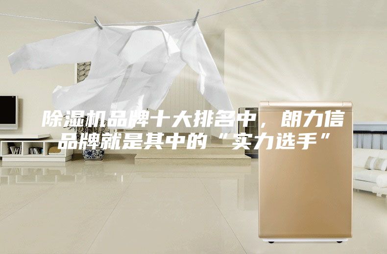除濕機品牌十大排名中，朗力信品牌就是其中的“實力選手”