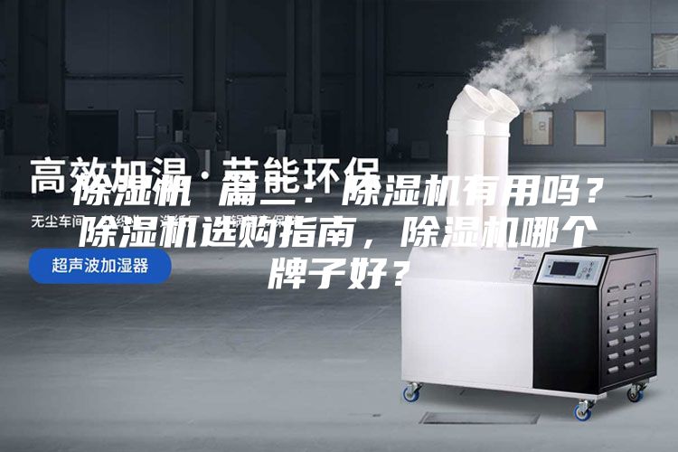 除濕機(jī) 篇二：除濕機(jī)有用嗎？除濕機(jī)選購(gòu)指南，除濕機(jī)哪個(gè)牌子好？