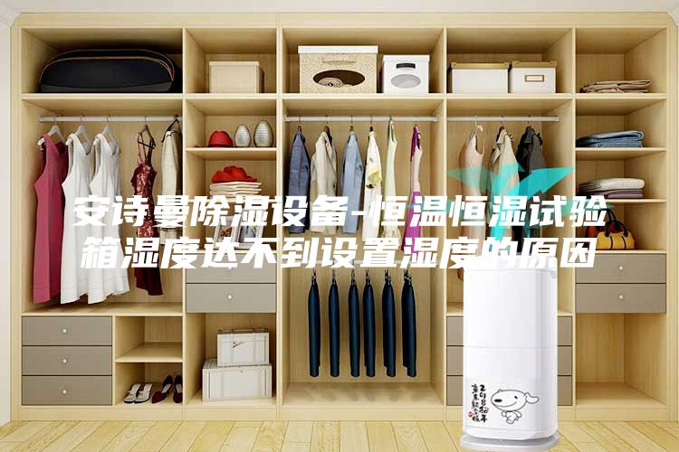 安詩(shī)曼除濕設(shè)備-恒溫恒濕試驗(yàn)箱濕度達(dá)不到設(shè)置濕度的原因