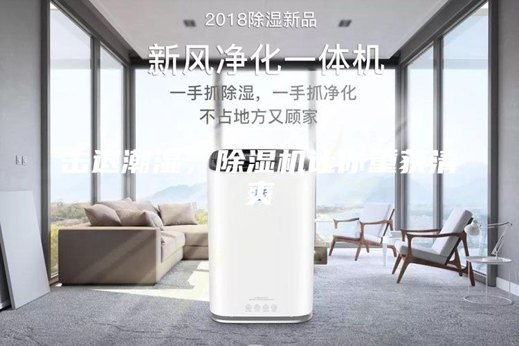 擊退潮濕，除濕機讓你重獲清爽