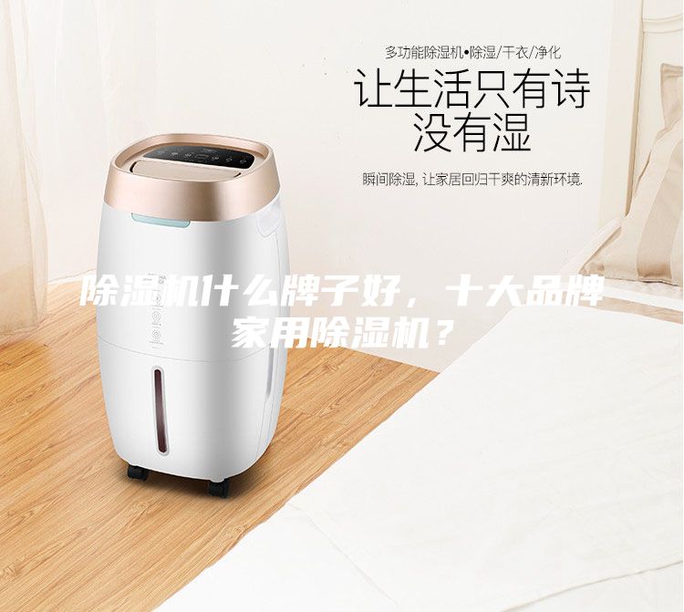 除濕機(jī)什么牌子好，十大品牌家用除濕機(jī)？