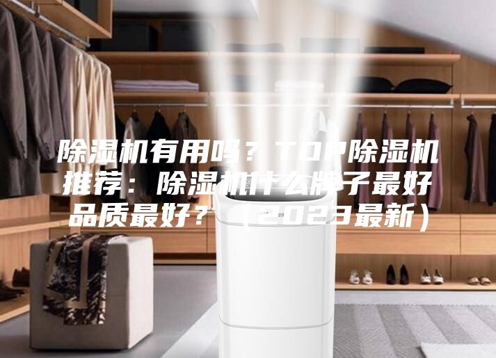 除濕機(jī)有用嗎？TOP除濕機(jī)推薦：除濕機(jī)什么牌子最好品質(zhì)最好？（2023最新）