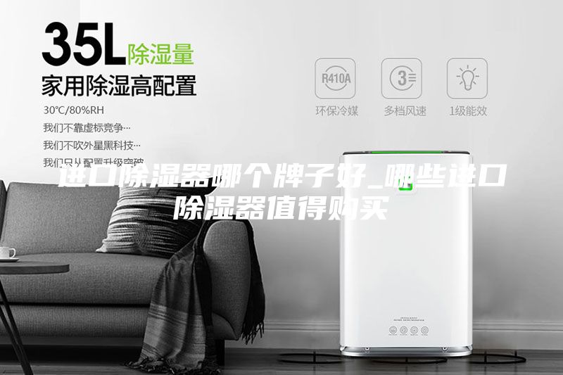 進口除濕器哪個牌子好_哪些進口除濕器值得購買