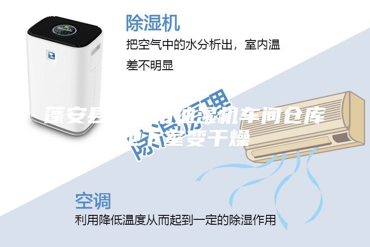 蓬安縣工業(yè)用抽濕機(jī)車間倉庫地下室變干燥