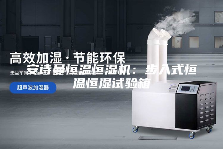 安詩(shī)曼恒溫恒濕機(jī)：步入式恒溫恒濕試驗(yàn)箱