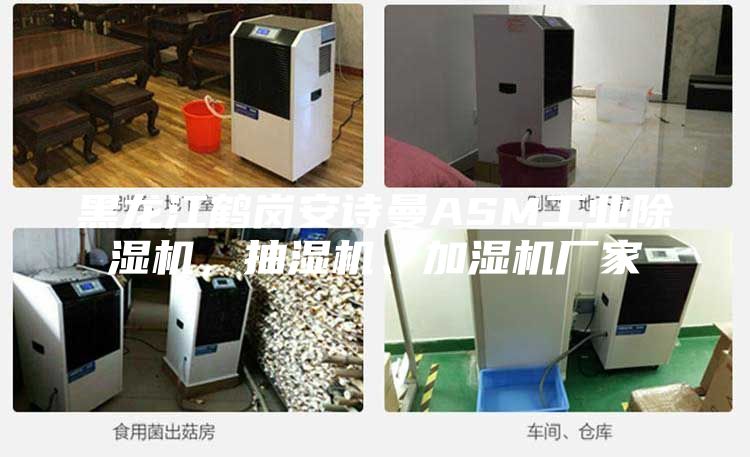 黑龍江鶴崗安詩曼ASM工業(yè)除濕機(jī)，抽濕機(jī)、加濕機(jī)廠家