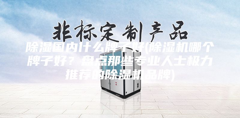 除濕國內什么牌子好(除濕機哪個牌子好？盤點那些專業人士極力推薦的除濕機品牌)