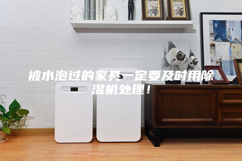 被水泡過的家具一定要及時(shí)用除濕機(jī)處理！