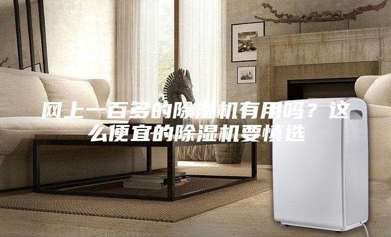 網(wǎng)上一百多的除濕機有用嗎？這么便宜的除濕機要慎選