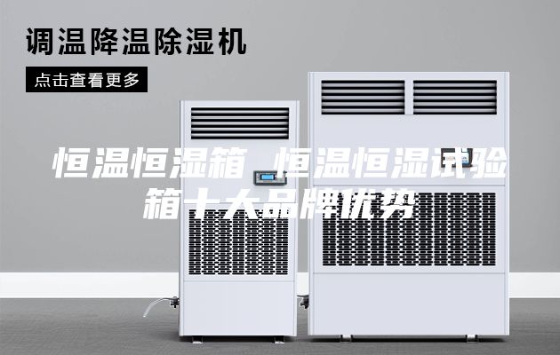 恒溫恒濕箱 恒溫恒濕試驗(yàn)箱十大品牌優(yōu)勢(shì)