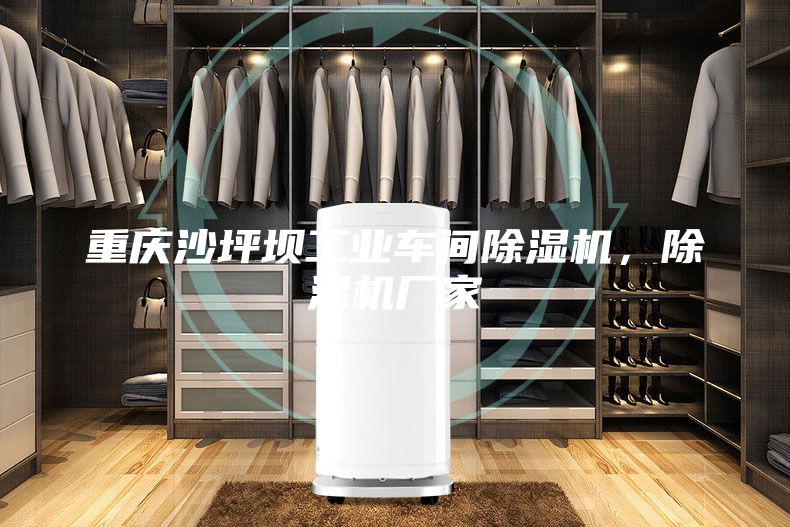 重慶沙坪壩工業(yè)車間除濕機，除濕機廠家