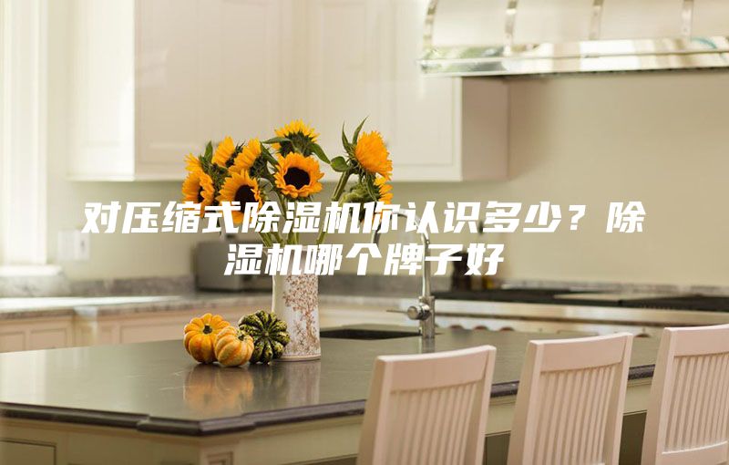 對壓縮式除濕機(jī)你認(rèn)識多少？除濕機(jī)哪個(gè)牌子好