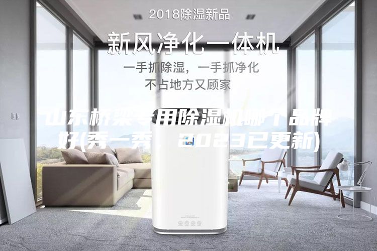 山東橋梁專用除濕機哪個品牌好(秀一秀，2023已更新)