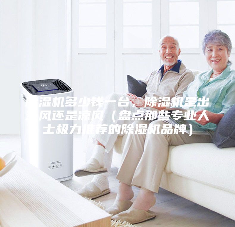 除濕機多少錢一臺，除濕機是出熱風還是涼風（盤點那些專業人士極力推薦的除濕機品牌）