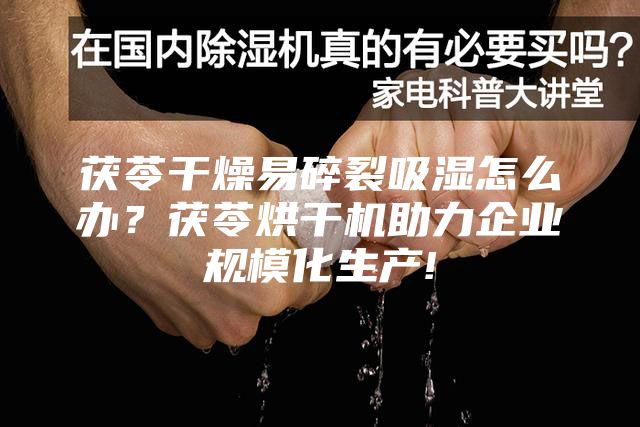 茯苓干燥易碎裂吸濕怎么辦？茯苓烘干機助力企業(yè)規(guī)模化生產(chǎn)!