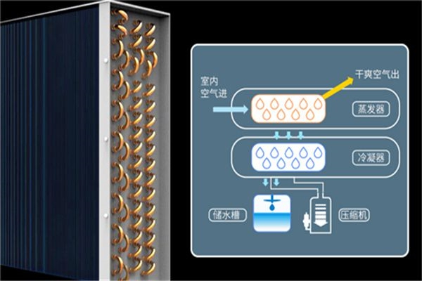 這些行業需要應用工業除濕機，你知道有哪些嗎？