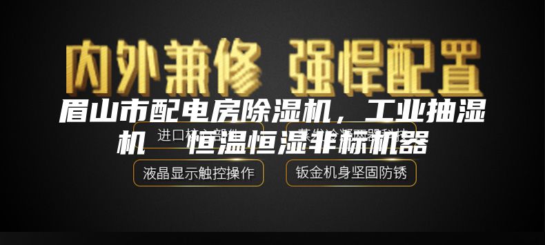 眉山市配電房除濕機(jī)，工業(yè)抽濕機(jī)  恒溫恒濕非標(biāo)機(jī)器