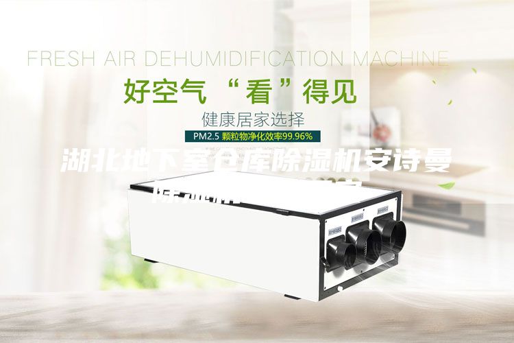 湖北地下室倉庫除濕機(jī)安詩曼除濕機(jī)生產(chǎn)廠家