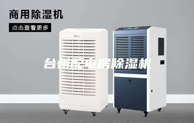 臺州配電房除濕機