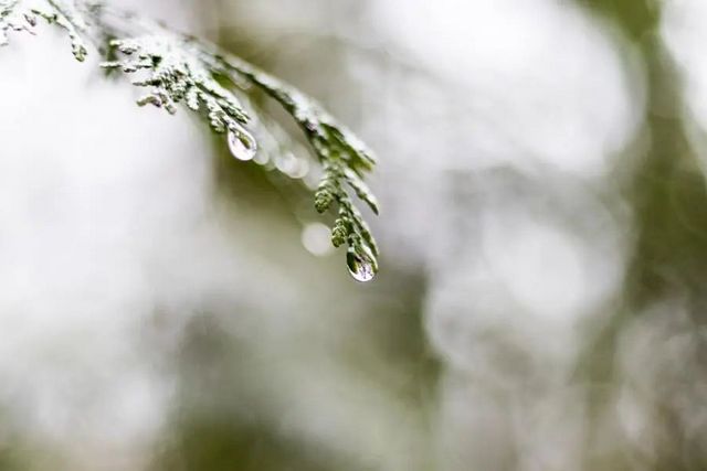 空氣濕度大帶來的危害有哪些，你知道嗎？