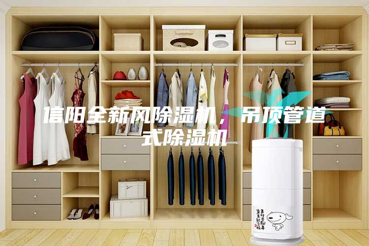 信陽全新風(fēng)除濕機，吊頂管道式除濕機