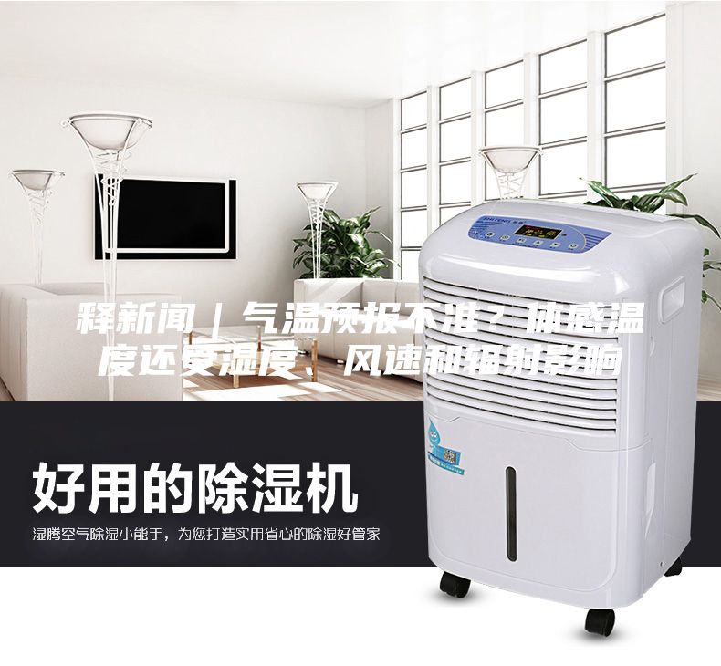 釋新聞｜氣溫預(yù)報不準(zhǔn)？體感溫度還受濕度、風(fēng)速和輻射影響