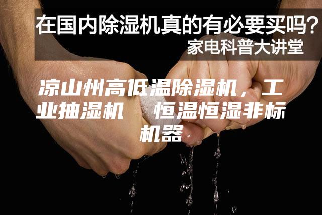 涼山州高低溫除濕機(jī)，工業(yè)抽濕機(jī)  恒溫恒濕非標(biāo)機(jī)器