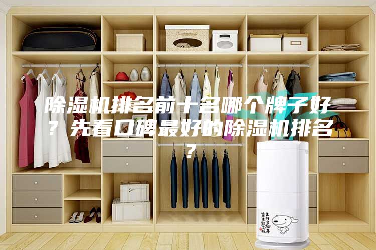 除濕機排名前十名哪個牌子好？先看口碑最好的除濕機排名？