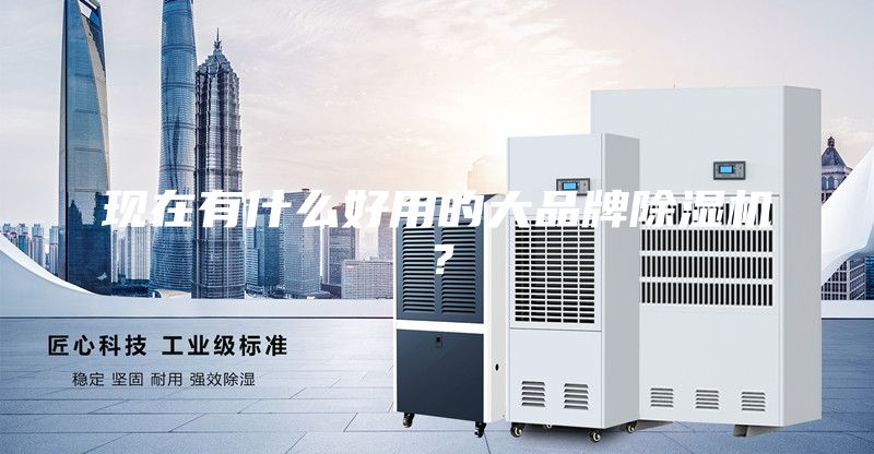 現在有什么好用的大品牌除濕機？