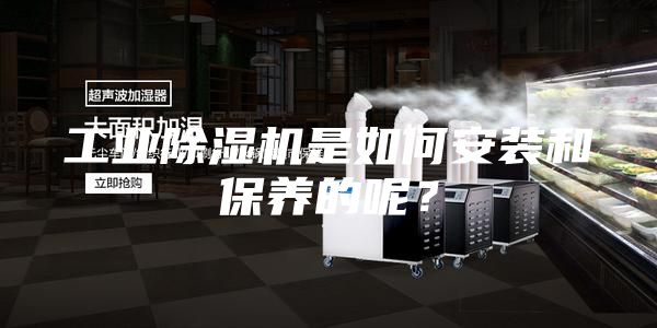 工業(yè)除濕機是如何安裝和保養(yǎng)的呢？