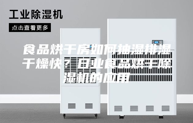 食品烘干房如何抽濕排濕干燥快？日業食品烘干除濕機的應用