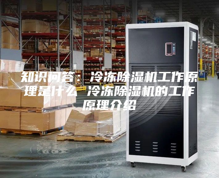 知識(shí)問(wèn)答：冷凍除濕機(jī)工作原理是什么 冷凍除濕機(jī)的工作原理介紹