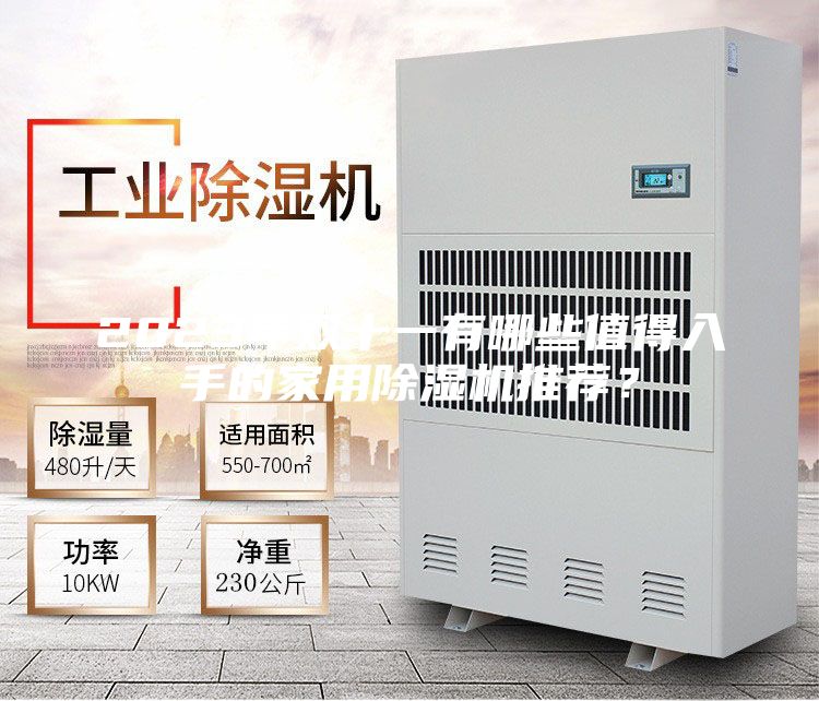 2023年雙十一有哪些值得入手的家用除濕機推薦？