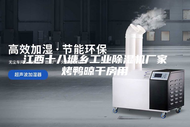 江西十八塘鄉工業除濕機廠家烤鴨晾干房用