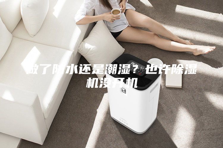 做了防水還是潮濕？也許除濕機沒開機
