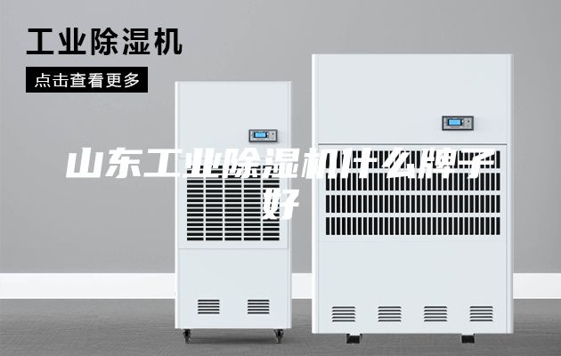 山東工業除濕機什么牌子好