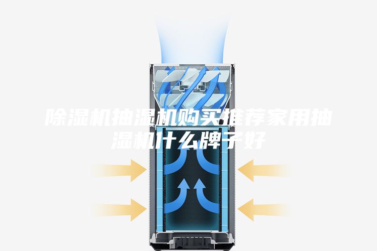 除濕機(jī)抽濕機(jī)購(gòu)買(mǎi)推薦家用抽濕機(jī)什么牌子好