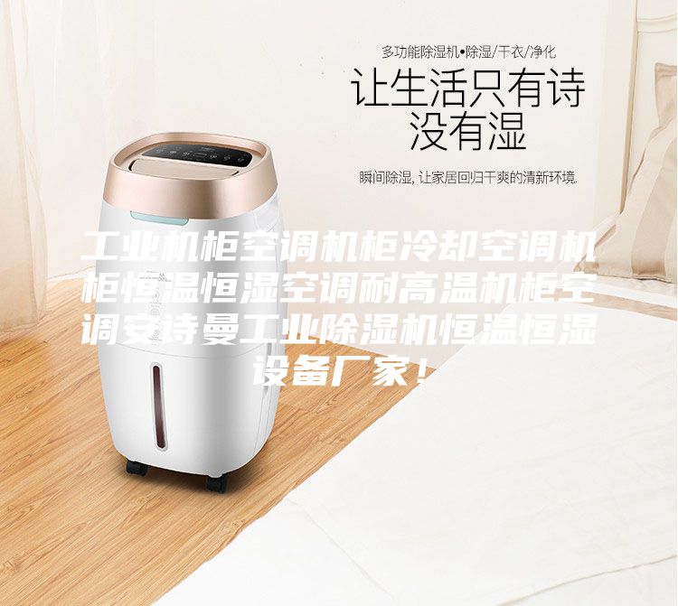 工業(yè)機(jī)柜空調(diào)機(jī)柜冷卻空調(diào)機(jī)柜恒溫恒濕空調(diào)耐高溫機(jī)柜空調(diào)安詩(shī)曼工業(yè)除濕機(jī)恒溫恒濕設(shè)備廠家！