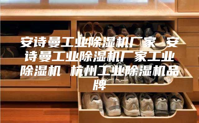 安詩(shī)曼工業(yè)除濕機(jī)廠(chǎng)家 安詩(shī)曼工業(yè)除濕機(jī)廠(chǎng)家工業(yè)除濕機(jī) 杭州工業(yè)除濕機(jī)品牌