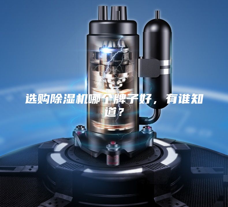 選購(gòu)除濕機(jī)哪個(gè)牌子好，有誰(shuí)知道？