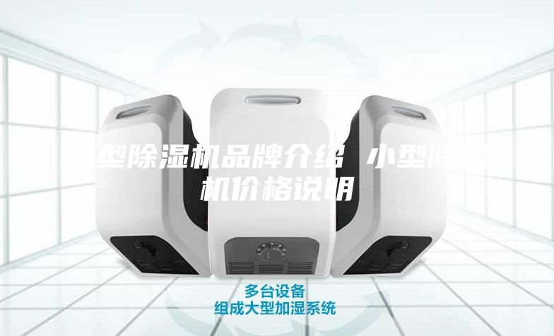 小型除濕機(jī)品牌介紹 小型除濕機(jī)價(jià)格說明