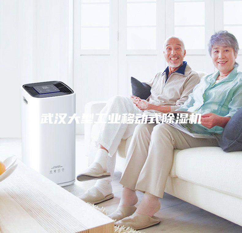武漢大型工業(yè)移動(dòng)式除濕機(jī)