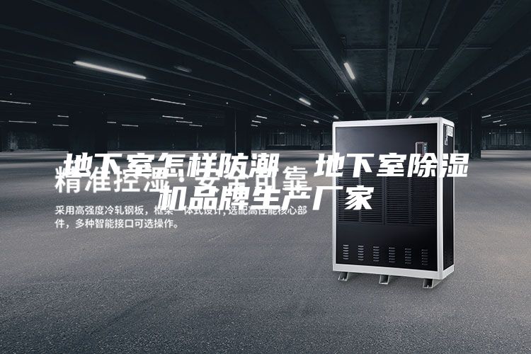 地下室怎樣防潮，地下室除濕機(jī)品牌生產(chǎn)廠家
