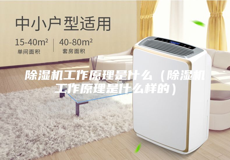 除濕機(jī)工作原理是什么（除濕機(jī)工作原理是什么樣的）